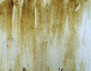 ModernBump Black And White