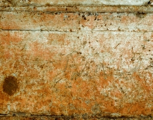 ModernBump Black And White