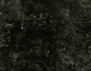 ModernBump Black And White