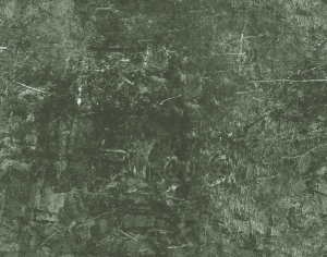 ModernBump Black And White