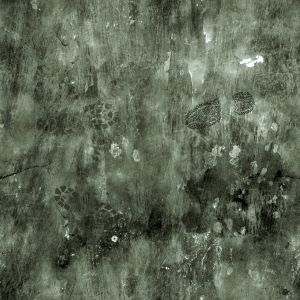 ModernBump Black And White