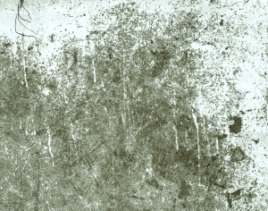 ModernBump Black And White