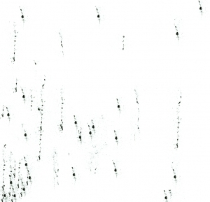 ModernBump Black And White