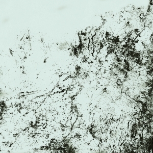 ModernBump Black And White