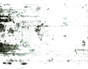 ModernBump Black And White