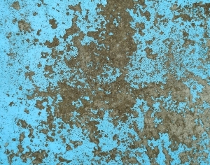 ModernBump Black And White