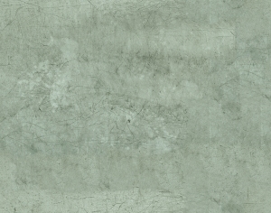 ModernBump Black And White