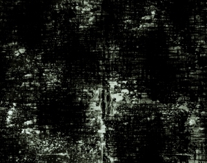 ModernBump Black And White