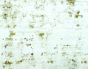 ModernBump Black And White