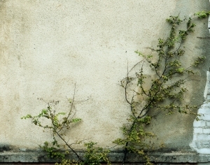 ModernStone Brick Wall