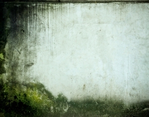 ModernStone Brick Wall