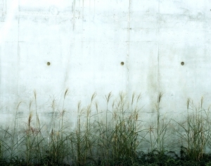 ModernStone Brick Wall