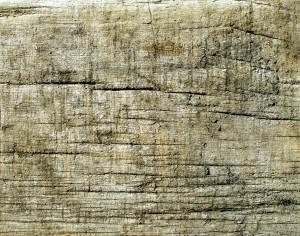 ModernOld Wood Texture