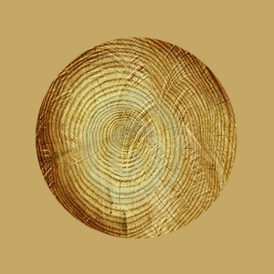 ModernOld Wood Texture