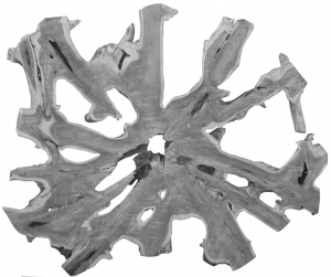 ModernOld Wood Texture