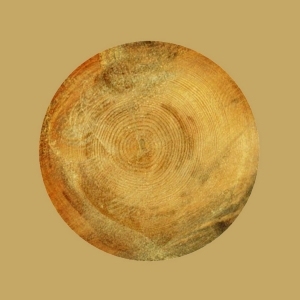 ModernOld Wood Texture