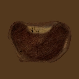 ModernOld Wood Texture