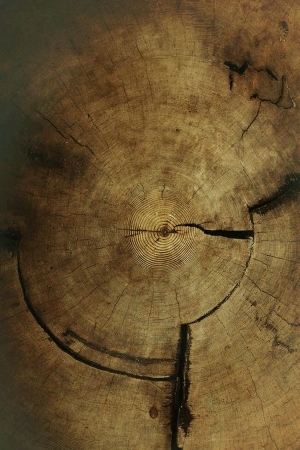 ModernOld Wood Texture