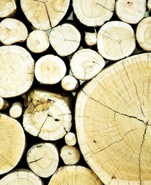 ModernOld Wood Texture