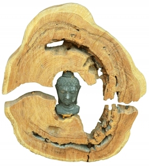 ModernOld Wood Texture