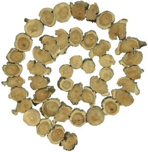 ModernOld Wood Texture