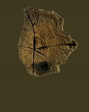 ModernOld Wood Texture