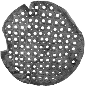 ModernOld Wood Texture