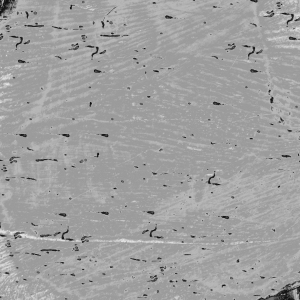 ModernOld Wood Texture