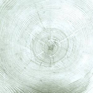 ModernOld Wood Texture