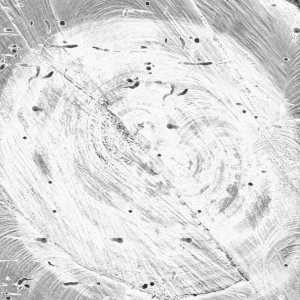 ModernOld Wood Texture