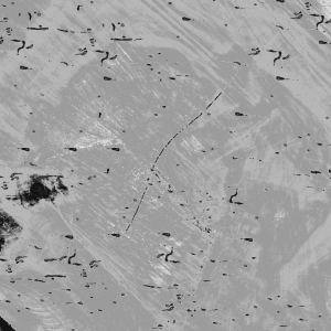 ModernOld Wood Texture