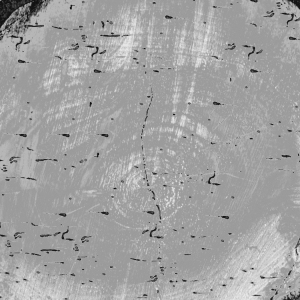 ModernOld Wood Texture