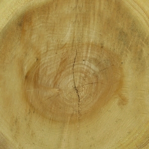 ModernOld Wood Texture