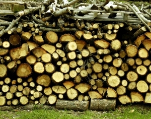 ModernOld Wood Texture