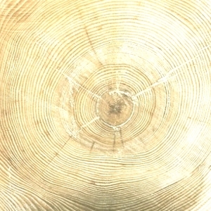 ModernOld Wood Texture