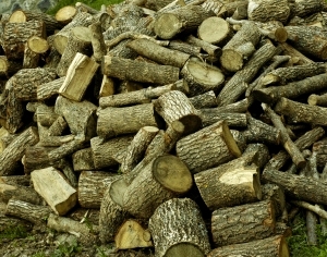 ModernOld Wood Texture