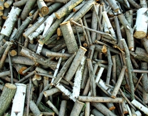 ModernOld Wood Texture