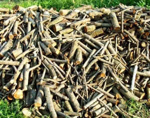 ModernOld Wood Texture