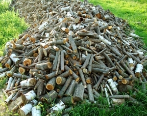 ModernOld Wood Texture