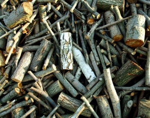 ModernOld Wood Texture