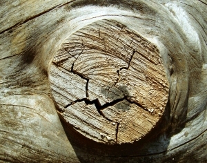 ModernOld Wood Texture