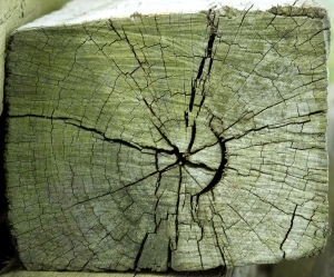 ModernOld Wood Texture