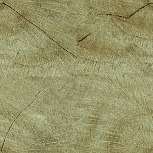 ModernOld Wood Texture