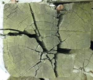 ModernOld Wood Texture