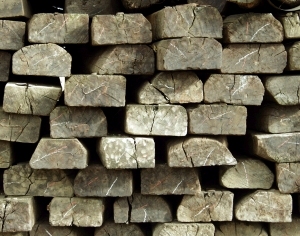 ModernOld Wood Texture