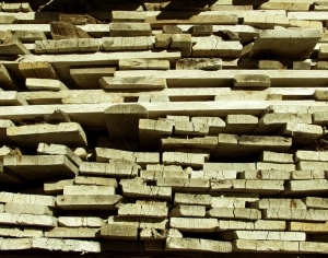 ModernOld Wood Texture