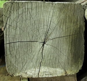 ModernOld Wood Texture