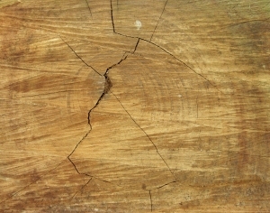 ModernOld Wood Texture