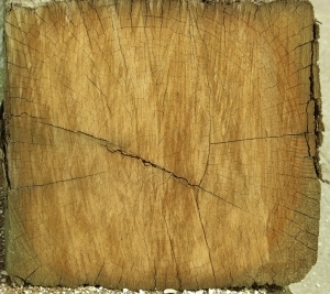 ModernOld Wood Texture