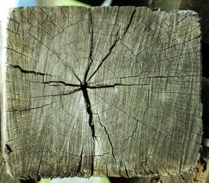 ModernOld Wood Texture